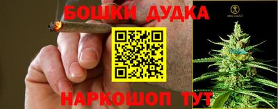 стафф Донецк