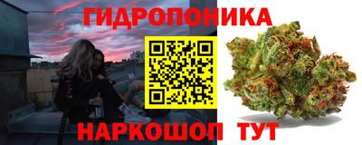 мет Дубна