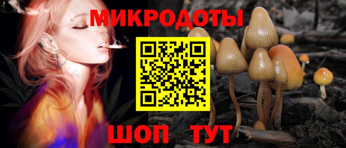 Галлюциногенные грибы Psilocybine cubensis  Вход с VPN  Галлюциногенные грибы Cubensis  Мирный 